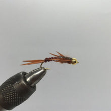 Load image into Gallery viewer, One Dozen (12) - Beadhead Stonefly - Brown - Nymph
