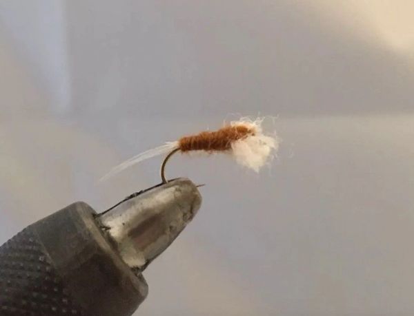 One Dozen (12) - Rusty Spinner - Dry Fly