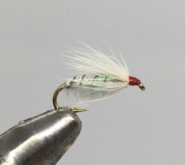 One Dozen (12) - Ray Charles Soft Hackle - Light Grey - Nymph